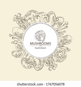 Background with mushroom: shiitake, muer, straw mushroom cao gu and enokitake. Vector hand drawn illustration