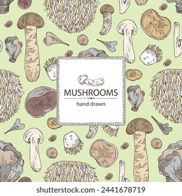 Background with mushroom:  thelephora ganbajun, tricholoma matsutake, hericium erinaceus and auricularia polytricha. Vector hand drawn illustration