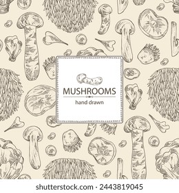 Background with mushroom:  thelephora ganbajun, tricholoma matsutake, hericium erinaceus and auricularia polytricha. Vector hand drawn illustration