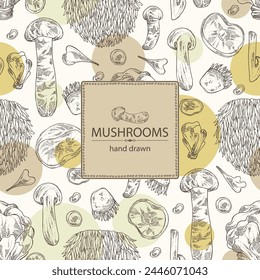 Background with mushroom:  thelephora ganbajun, tricholoma matsutake, hericium erinaceus and auricularia polytricha. Vector hand drawn illustration