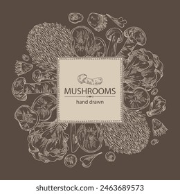 Background with mushroom:  thelephora ganbajun, tricholoma matsutake, hericium erinaceus and auricularia polytricha. Vector hand drawn illustration