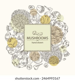 Background with mushroom:  thelephora ganbajun, tricholoma matsutake, hericium erinaceus and auricularia polytricha. Vector hand drawn illustration