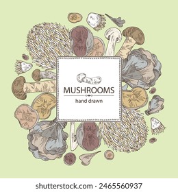 Background with mushroom:  thelephora ganbajun, tricholoma matsutake, hericium erinaceus and auricularia polytricha. Vector hand drawn illustration