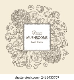 Background with mushroom:  thelephora ganbajun, tricholoma matsutake, hericium erinaceus and auricularia polytricha. Vector hand drawn illustration