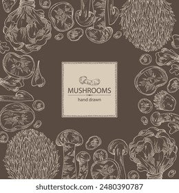 Background with mushroom:  thelephora ganbajun, tricholoma matsutake, hericium erinaceus and auricularia polytricha. Vector hand drawn illustration