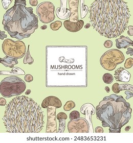 Background with mushroom:  thelephora ganbajun, tricholoma matsutake, hericium erinaceus and auricularia polytricha. Vector hand drawn illustration