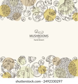 Background with mushroom:  thelephora ganbajun, tricholoma matsutake, hericium erinaceus and auricularia polytricha. Vector hand drawn illustration