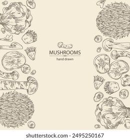 Background with mushroom:  thelephora ganbajun, tricholoma matsutake, hericium erinaceus and auricularia polytricha. Vector hand drawn illustration