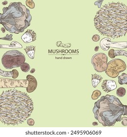 Background with mushroom:  thelephora ganbajun, tricholoma matsutake, hericium erinaceus and auricularia polytricha. Vector hand drawn illustration