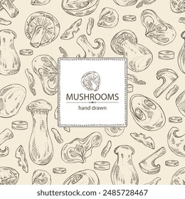 Background with mushroom: wood ears, muer mushroom, eringi, cao gu, shiitake. Vector hand drawn illustration