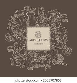 Background with mushroom: wood ears, muer mushroom, eringi, cao gu, shiitake. Vector hand drawn illustration