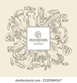 Background with mushroom: wood ears, muer mushroom, eringi, cao gu, shiitake. Vector hand drawn illustration