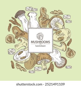 Background with mushroom: wood ears, muer mushroom, eringi, cao gu, shiitake. Vector hand drawn illustration