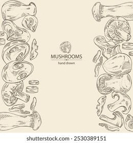 Background with mushroom: wood ears, muer mushroom, eringi, cao gu, shiitake. Vector hand drawn illustration