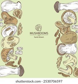 Background with mushroom: wood ears, muer mushroom, eringi, cao gu, shiitake. Vector hand drawn illustration