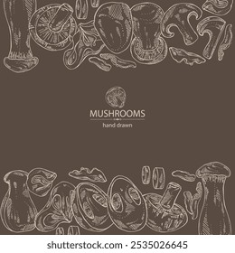 Background with mushroom: wood ears, muer mushroom, eringi, cao gu, shiitake. Vector hand drawn illustration