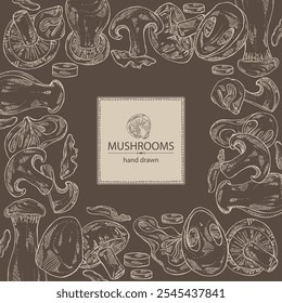 Background with mushroom: wood ears, muer mushroom, eringi, cao gu, shiitake. Vector hand drawn illustration