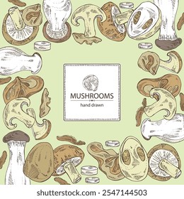 Background with mushroom: wood ears, muer mushroom, eringi, cao gu, shiitake. Vector hand drawn illustration