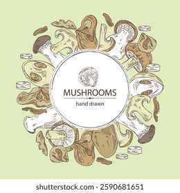 Background with mushroom: wood ears, muer mushroom, eringi, cao gu, shiitake. Vector hand drawn illustration