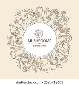 Background with mushroom: wood ears, muer mushroom, eringi, cao gu, shiitake. Vector hand drawn illustration