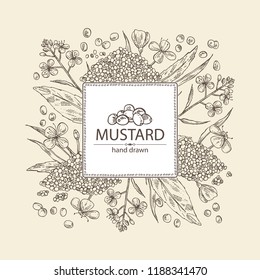 Background with mustard: plant, mustard seeds, flower, leaves and pod. Dijon mustard. Vector hand drawn illustration.