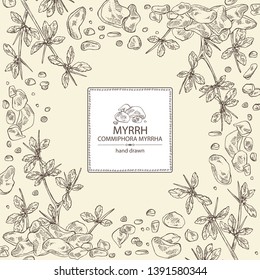 Background with myrrh: plant and resin of myrrh. Commiphora myrrha. Perfumery, cosmetics and medical plant. Vector hand drawn illustration