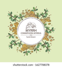 Background with myrrh: plant and resin of myrrh. Commiphora myrrha. Perfumery, cosmetics and medical plant. Vector hand drawn illustration