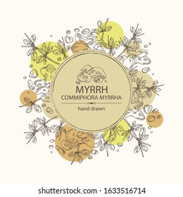 Background with myrrh: plant and resin of myrrh. Commiphora myrrha. Perfumery, cosmetics and medical plant. Vector hand drawn illustration