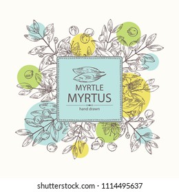 Background with myrtus, myrtle: myrtus branch with flowers, berries and leaves. Cosmetics and medical plant. Vector hand drawn illustration.