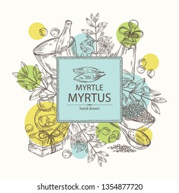 Background with myrtus, myrtle: myrtus branch with flowers, berries and leaves, soap and bath salt . Cosmetic, perfumery and medical plant. Vector hand drawn illustration