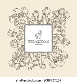 Background with nameko pholiota: piece of mushroom, nameko pholiota mushrooms. Vector hand drawn mushroom illustrations