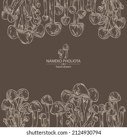 Background with nameko pholiota: piece of mushroom, nameko pholiota mushrooms. Vector hand drawn mushroom illustrations