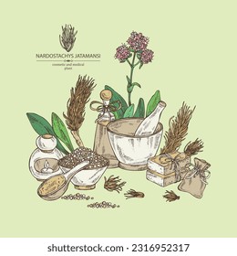 Background with nardostachys jatamansi: plant, flowers and codonopsis lanceolata roots. Nard indian. Cosmetics and medical plant. Vector hand drawn illustration