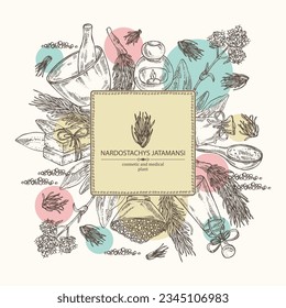 Background with nardostachys jatamansi: plant, flowers and codonopsis lanceolata roots. Nard indian. Cosmetics and medical plant. Vector hand drawn illustration