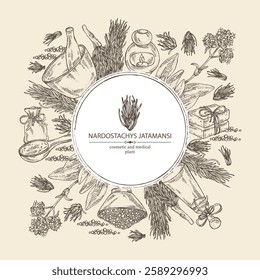 Background with nardostachys jatamansi: plant, flowers and codonopsis lanceolata roots. Nard indian. Cosmetics and medical plant. Vector hand drawn illustration