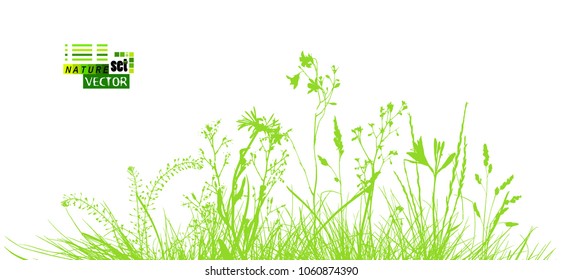 Background natural green grass. Vector