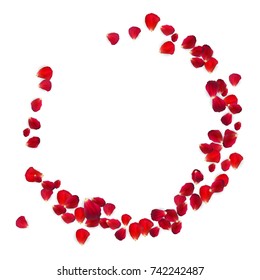 Background of Naturalistic Rose Petals. Vector Illustration. EPS10