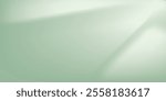 Background nature Green Shadow Abstract Overlay Leaf Natural blur Cement Wall Floor 