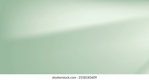 Background nature Green Shadow Abstract Overlay Leaf Natural blur Cement Wall Floor 