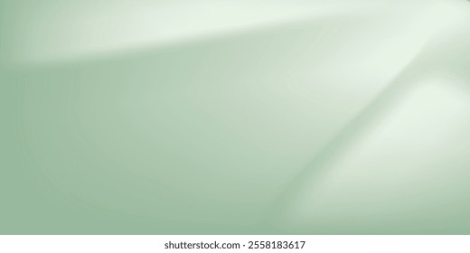 Background nature Green Shadow Abstract Overlay Leaf Natural blur Cement Wall Floor 