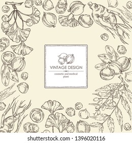 Background with neem leaves, macadamia nuts, ginseng root and ginkgo. Cosmetics and medical plant. Vector hand drawn illustration