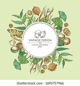 Background with neem leaves, macadamia nuts, ginseng root and ginkgo. Cosmetics and medical plant. Vector hand drawn illustration