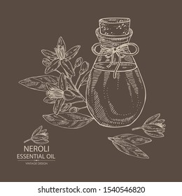 Background with neroli, orange flower and bottle of patchouli essential oil. Cosmetic, perfumery and medical plant. Vector hand drawn illustration.