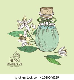 Background with neroli, orange flower and bottle of patchouli essential oil. Cosmetic, perfumery and medical plant. Vector hand drawn illustration.