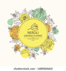 Background with neroli, orange flower: orange flowering branch, leaves, neroli flowers and bud. Cosmetic, perfumery and medical plant. Vector hand drawn illustration