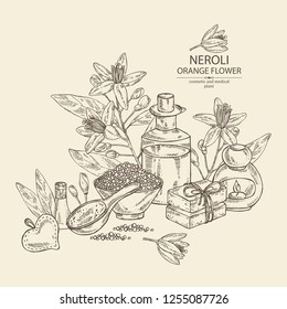 Background with neroli, orange flower: leaves, neroli flowers, soap and bath salt . Cosmetic, perfumery and medical plant. Vector hand drawn illustration