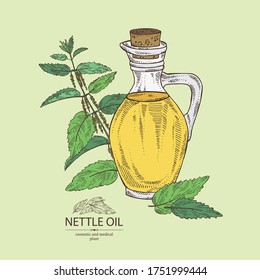 Background with nettle and bottle of nettle oil. Vector hand drawn illustration