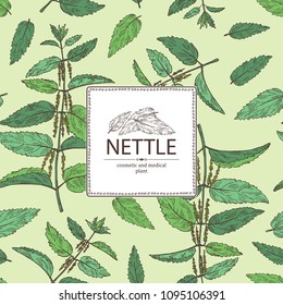 Background with nettle: plant, leaves, branch of nettle and flowers. Cosmetics and medical plant. Vector hand drawn illustration.