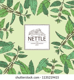 Background with nettle: plant, leaves, branch of nettle and flowers. Cosmetics and medical plant. Vector hand drawn illustration.