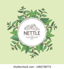 Background with nettle: plant, leaves, branch of nettle and flowers. Cosmetics and medical plant. Vector hand drawn illustration.